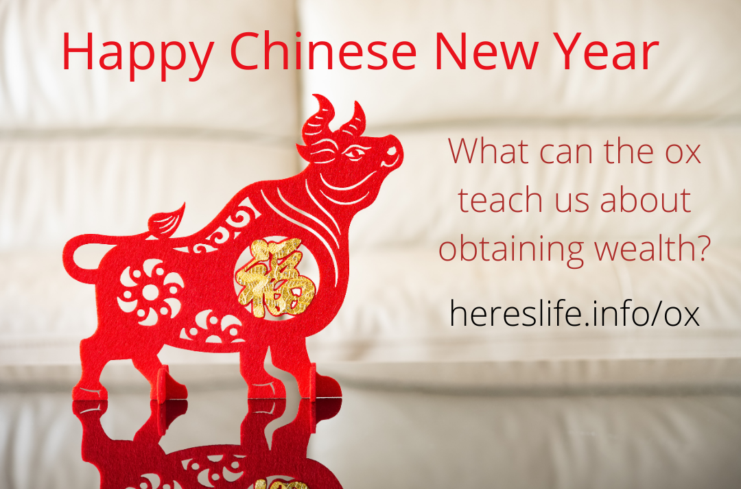Poster for Chinese New Year